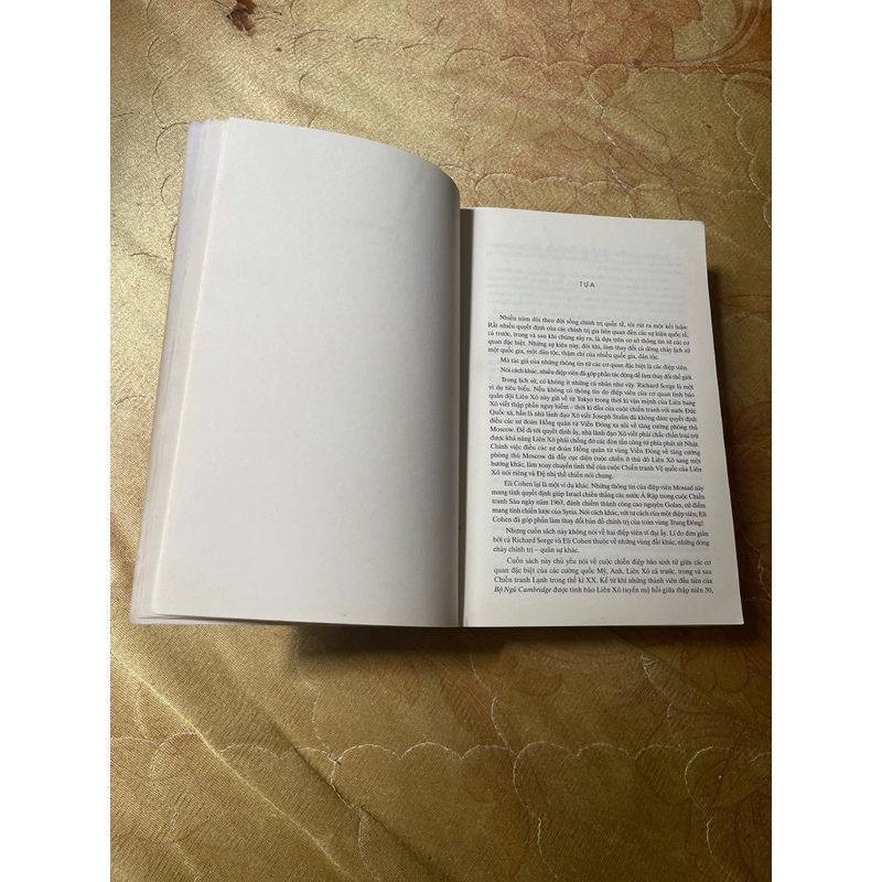 RĂNG SƯ TỬ- YÊN BA 548913