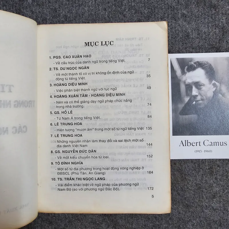 Tiếng việt trong nhà trường phổ thông và các ngôn ngữ dân tộc 974654