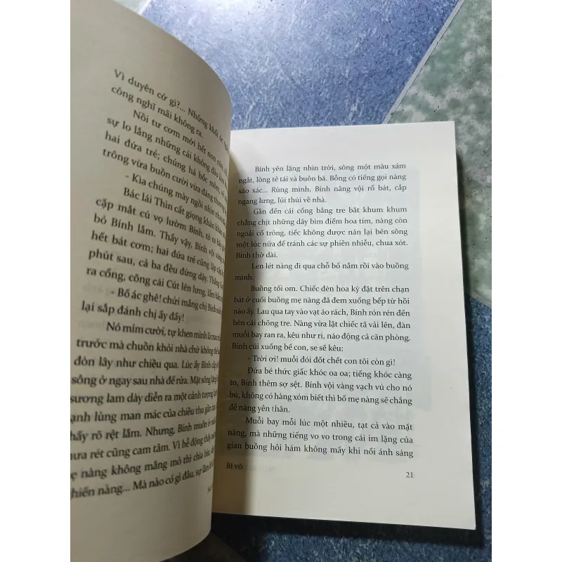 Bỉ vỏ - Nguyên Hồng 1025900