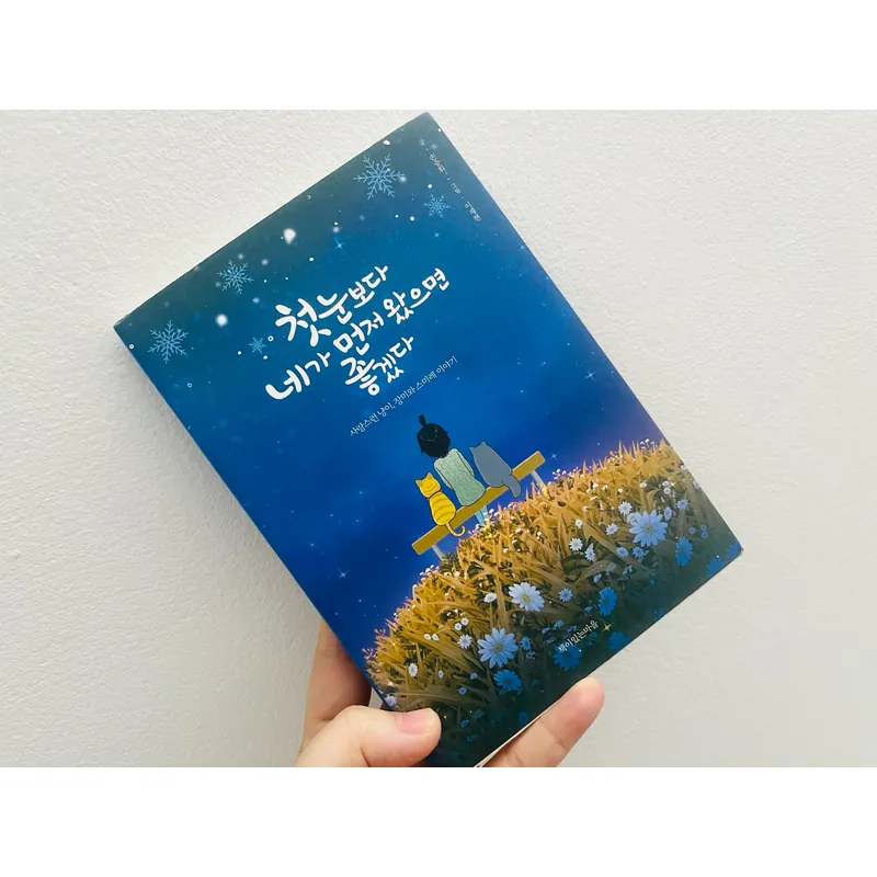 헛수고보다 네가 먼저 왔으면 좋겠다 (Giá như em đến trước những tháng ngày vô nghĩa ấy) 1064519