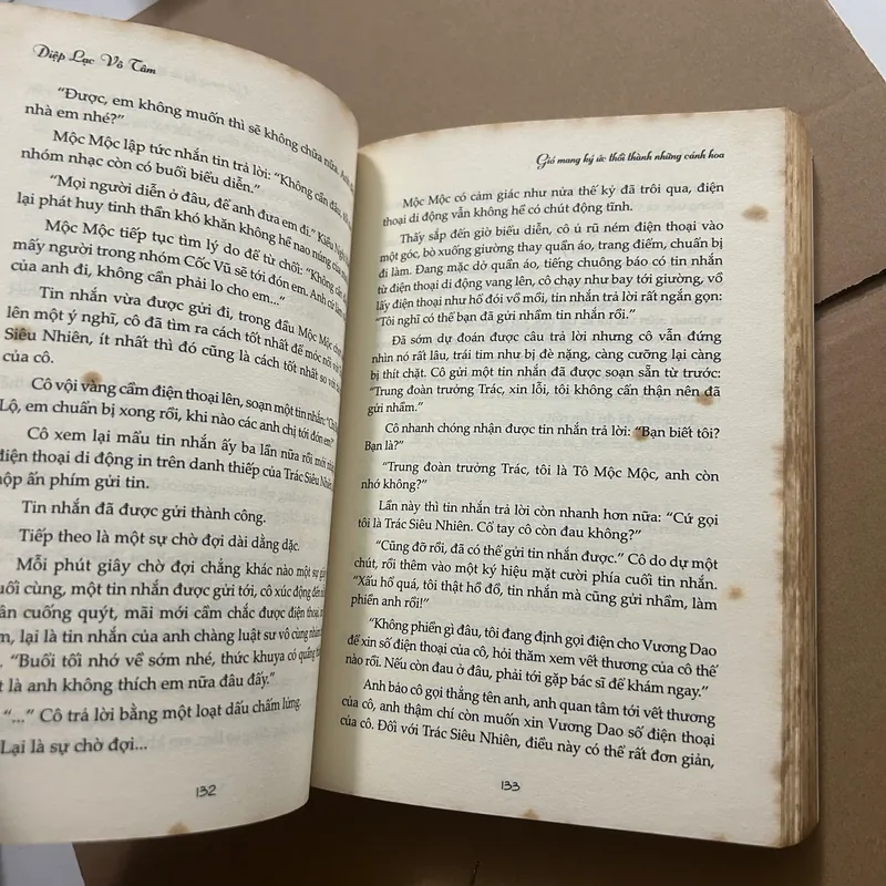 Gió mang ký ức thổi thành những cánh hoa 562981