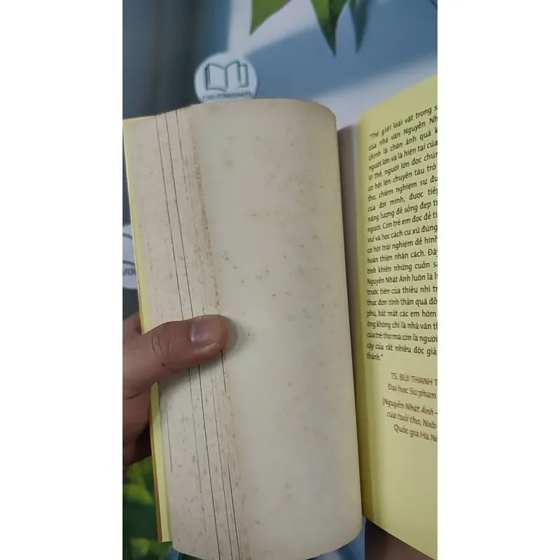 Con Chó Nhỏ Mang Giỏ Hoa Hồng - Nguyễn Nhật Ánh 798346