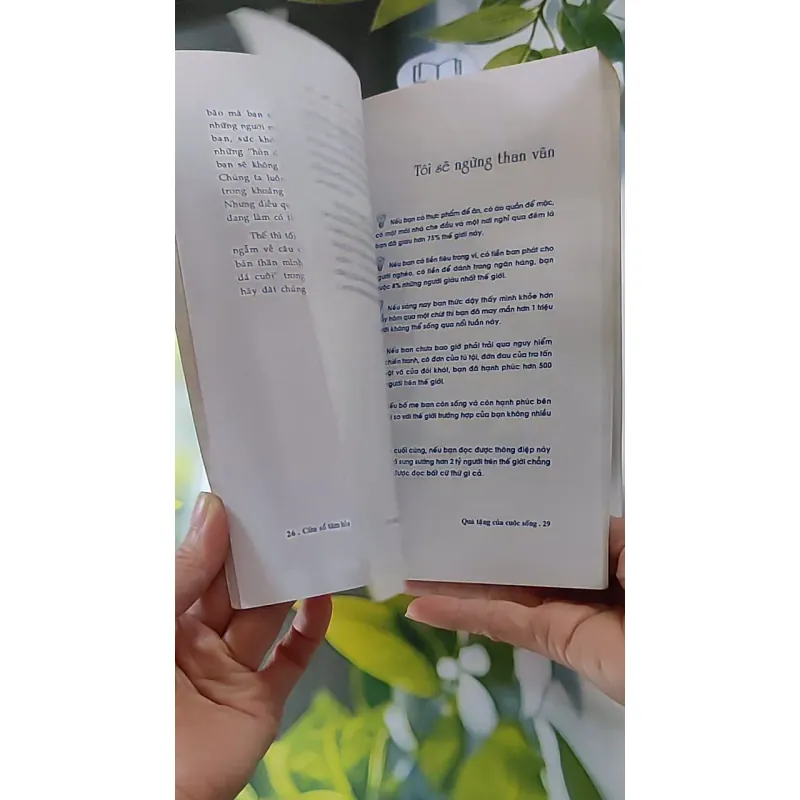 Quà tặng của cuộc sống (2004) 607741