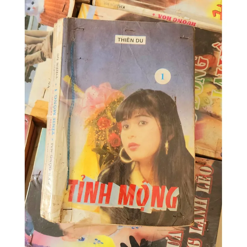 Tiểu thuyết lãng mạn Việt Nam TỈNH MỘNG (Thiên Du) 782368
