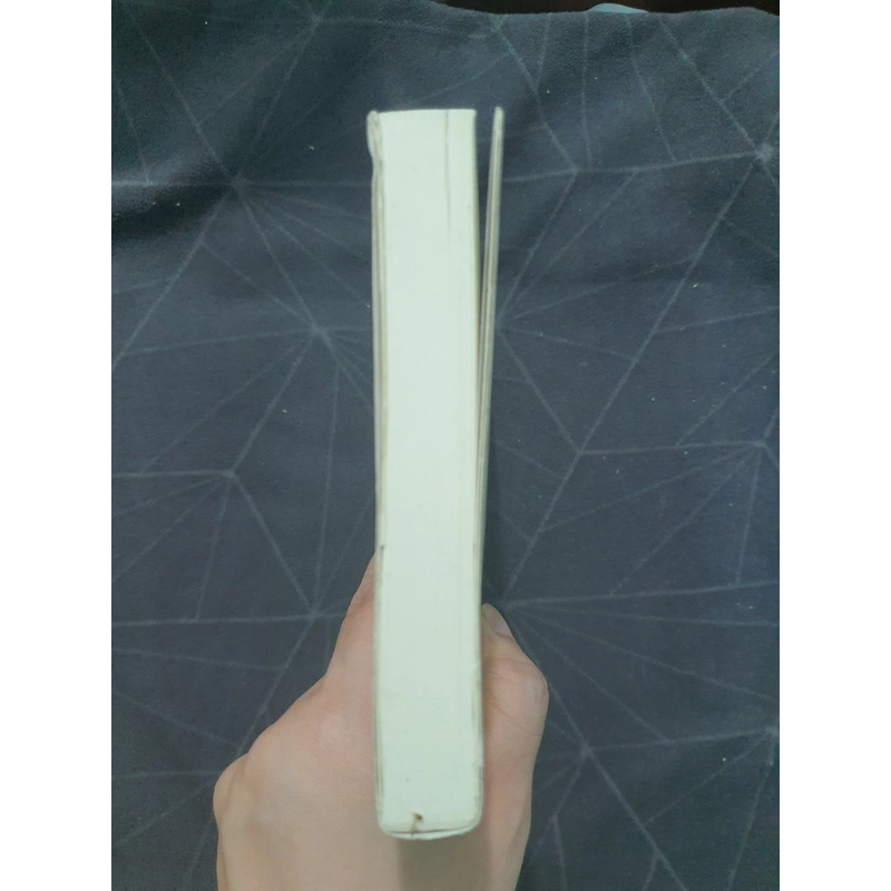 "Nếu gặp người ấy cho tôi gửi lời chào" - Ichikawa Takuji 498960