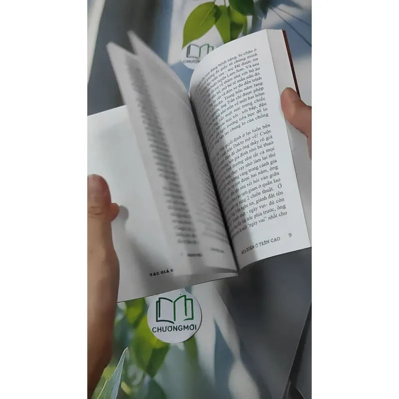 Mùa Xuân Ở Trên Cao - Mang Viên Long 928593