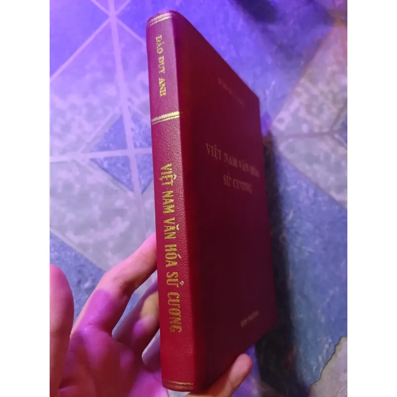 Việt Nam văn hóa sử cương - Đào Duy Anh 1046676