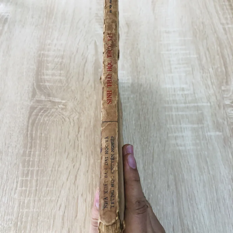 SINH THÁI HỌC THỰC VẬT 956979