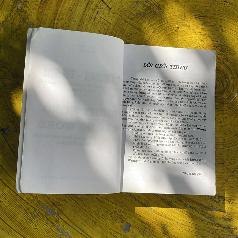 TỪ ĐÚNG & TỪ SAI RIGHT WORD WRONG- THY HẢI 696129