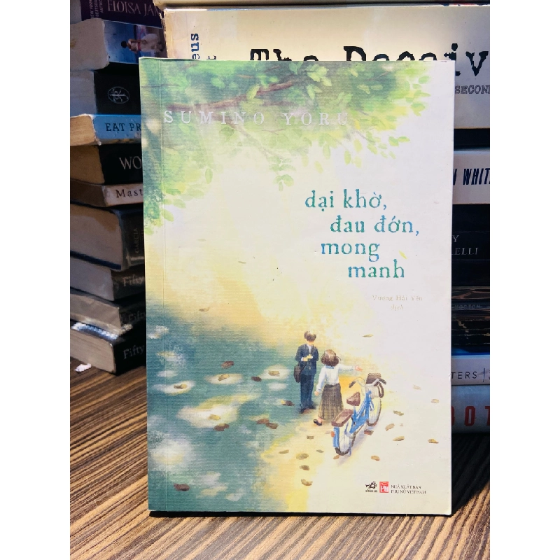 Dại khờ, đau đớn, mong manh - Sumino Yoru 165797