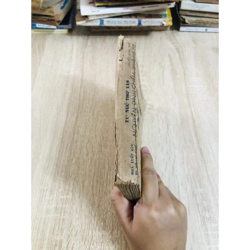 TỪ NGỮ THƠ VĂN NGUYỄN ĐÌNH CHIỂU 929009