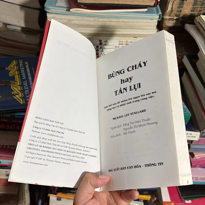 II Sách Kỹ Năng: Bùng Cháy Hay Tàn Lụi - MICHAEL LEE STALLARD - 2008 779231