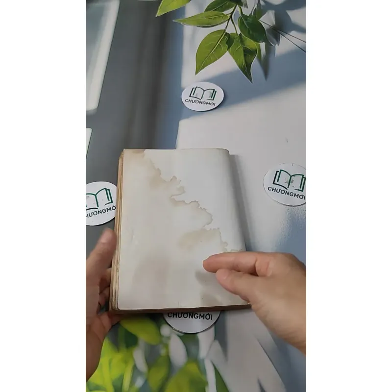 Điều Chỉnh Những Bất Hòa Trong Quan Hệ Vợ Chồng - GS. Đặng Phương Kiệt 727256