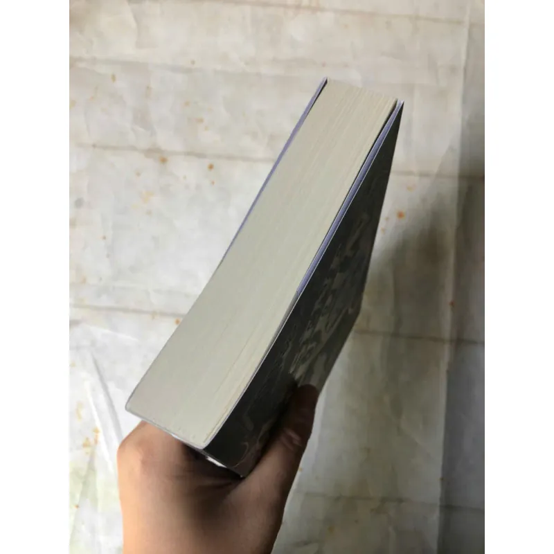 Arsène Lupin - Siêu Trộm Hào Hoa - Mật Mã 813 | Maurice Leblanc 801080