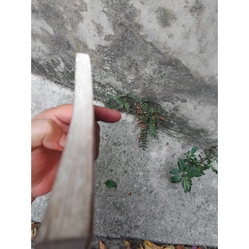 Kinh thi Việt Nam  1025126