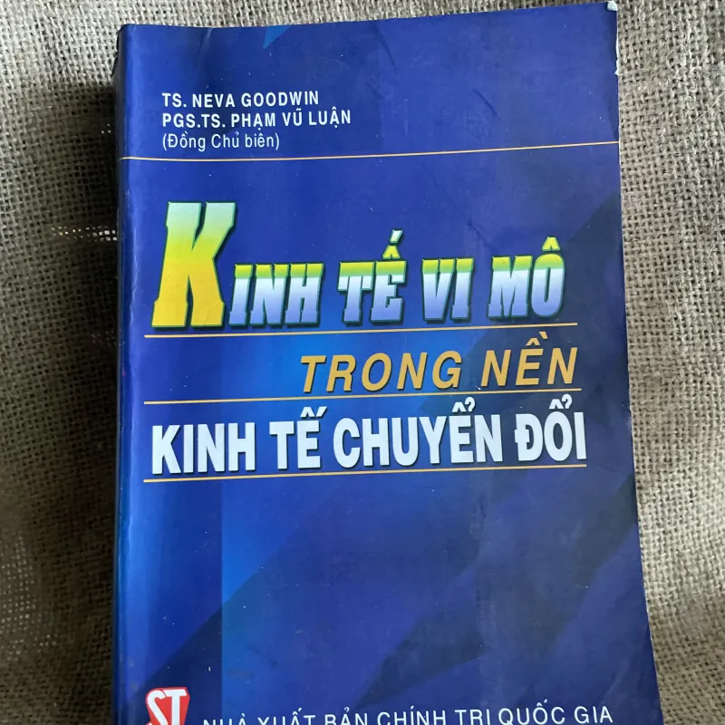 Kinh tế vĩ mô trong nền kinh tế chuyển đổi.- TS. Neva Goodwin và PGS.TS. Phạm Vũ Luận  960538