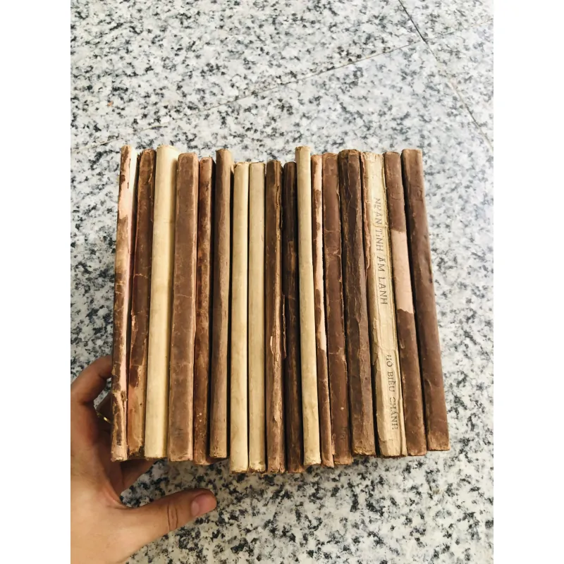 17 cuốn tiểu thuyết Hồ Biểu Chánh 960049