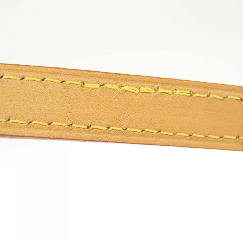 Túi xách Louis Vuitton Monogram Petit Sac Plat M81295 615804