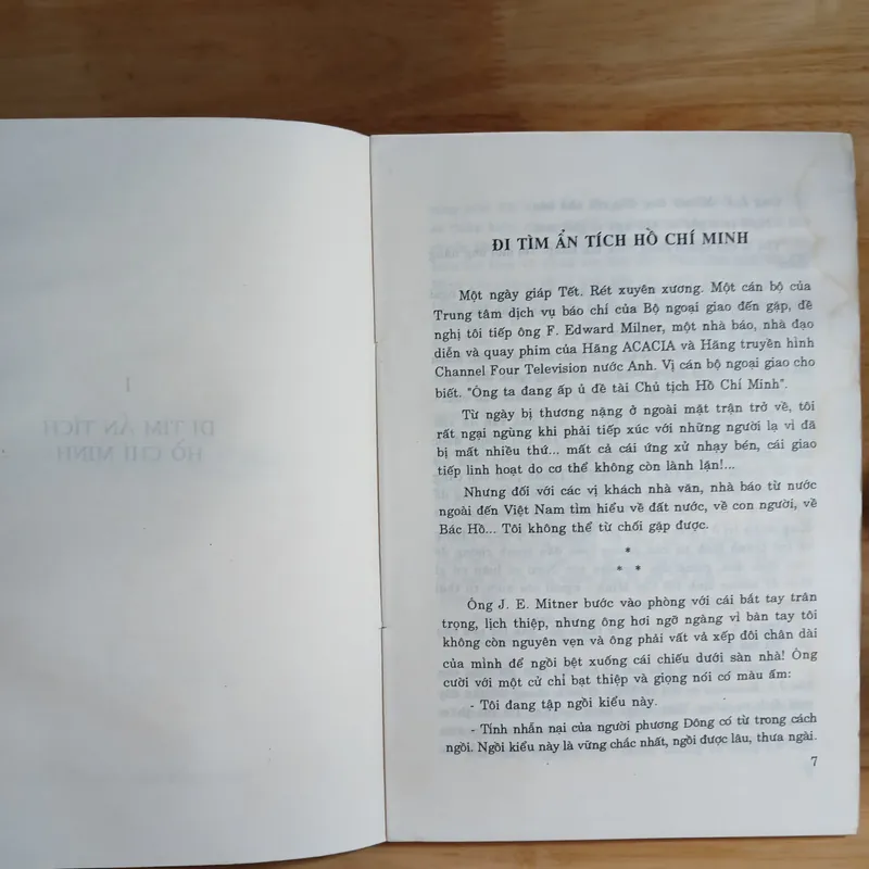 Hoa Râm Bụt - Sơn Tùng 728450