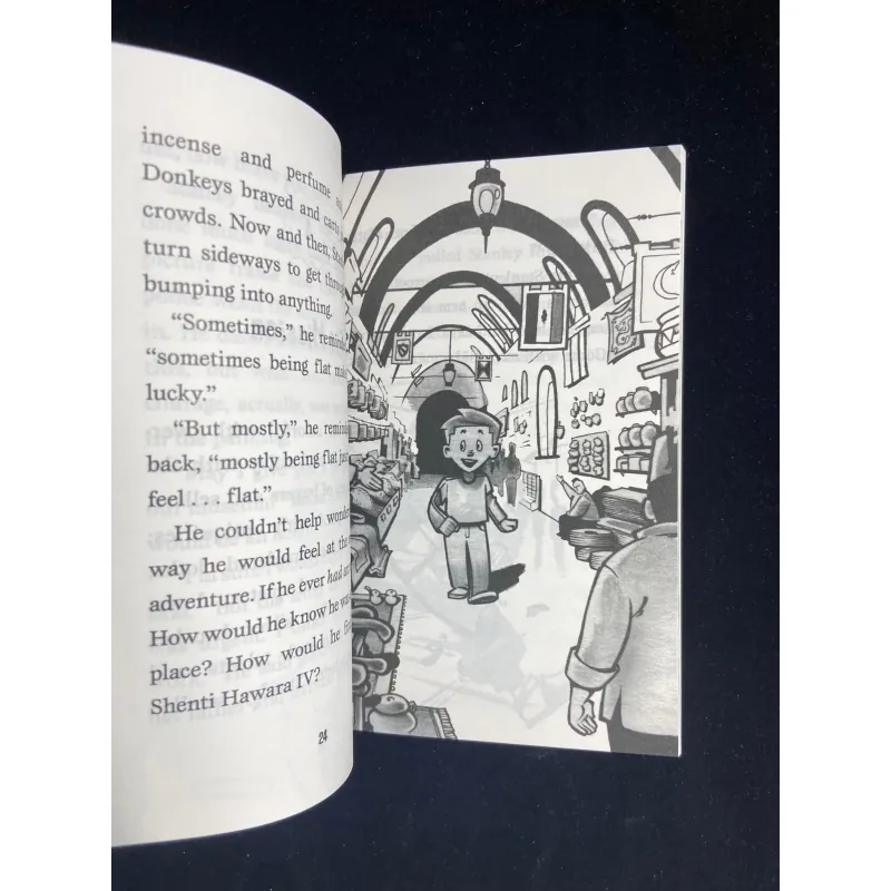 The Flat Stanley Collection - No box - 19 quyển 747129