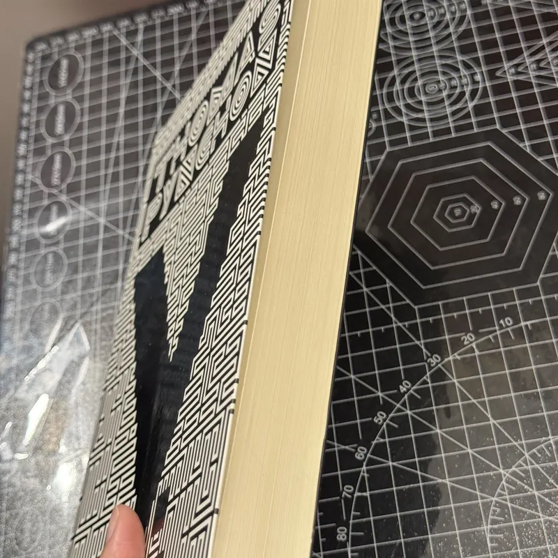 V. - Thomas Pynchon 695253