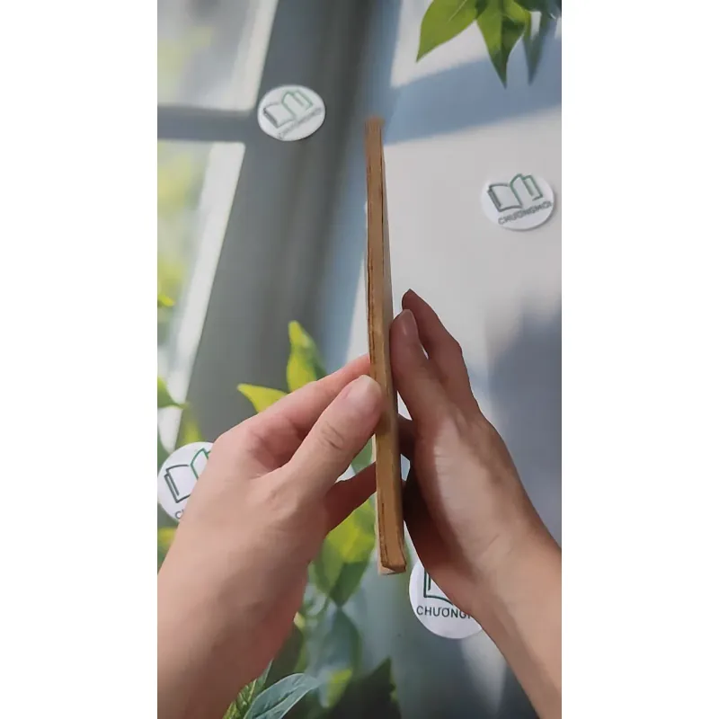 [XƯA] Thám Tử Đường Phố (1981) - Thanh Đạm 997780