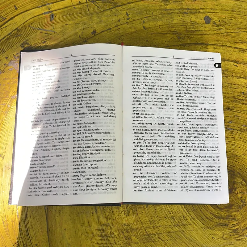 TỪ ĐIỂN VIỆT- ANH VIETNAMESE- ENGLISH DICTIONARY  719568