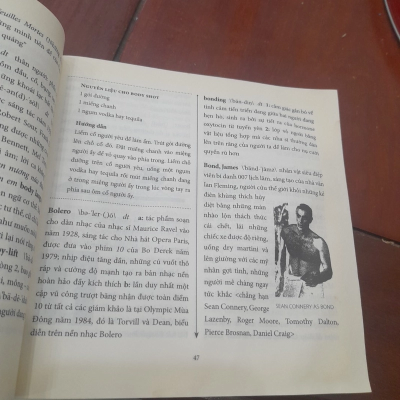 The DICTIONNARY of LOVE - TỰ ĐIỂN TÌNH YÊU 453675