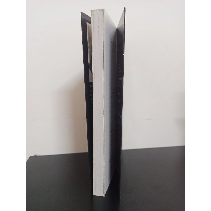 Sự Trở Lại Của Vết Xước (2008) - Trần Nhã Thuỵ Mới 90% HCM.ASB2601 912947