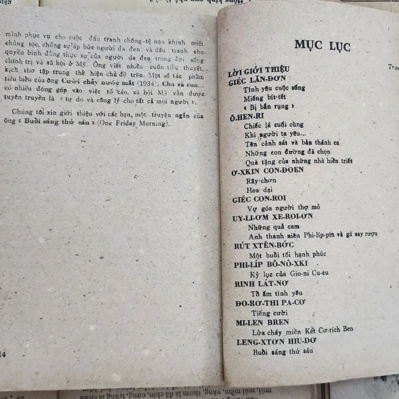 Truyện ngắn Mỹ: HOA DẠI 728390