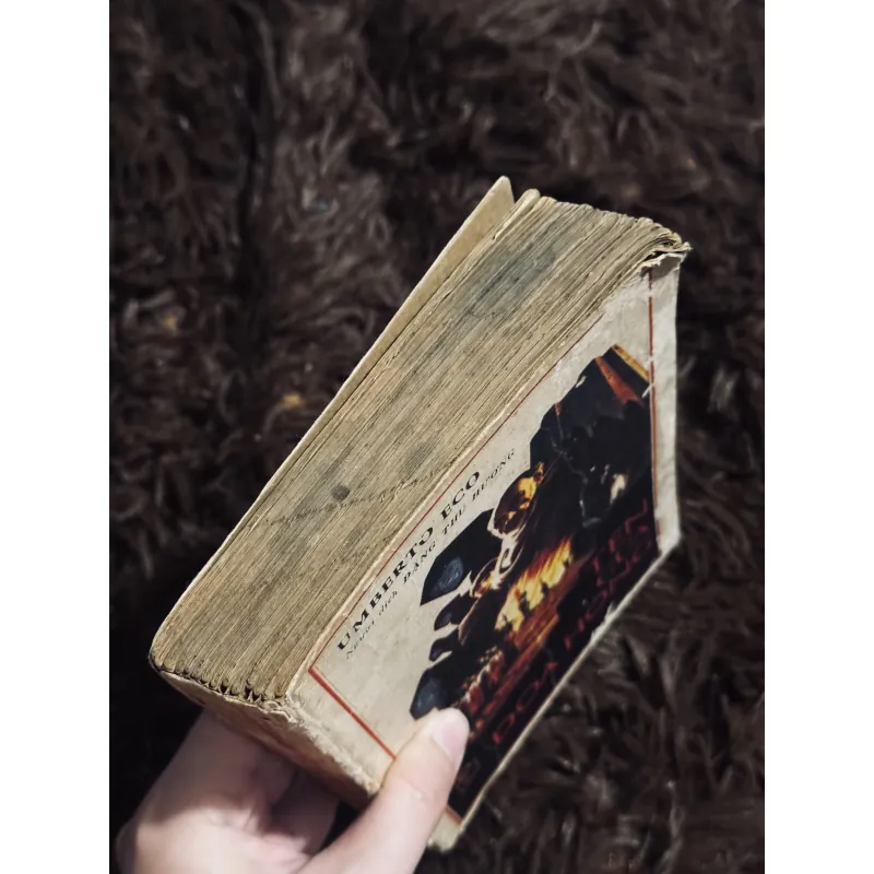 Tên của đoá hồng 998251