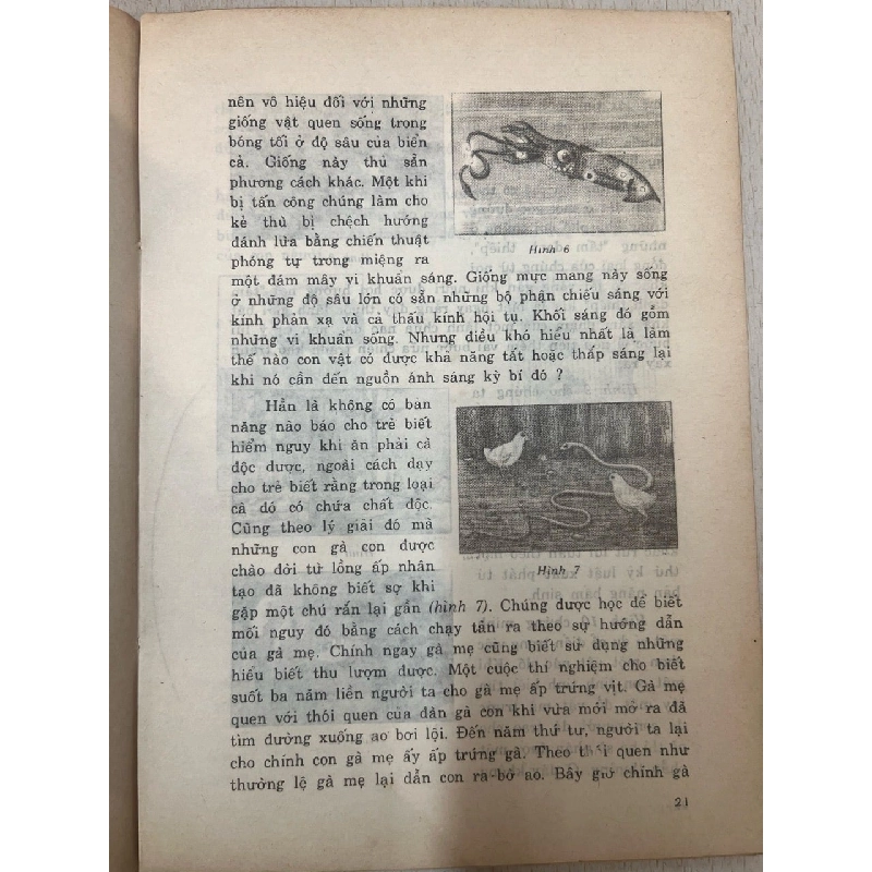 Những điều kỳ diệu của thiên nhiên - Giang Tân 747123