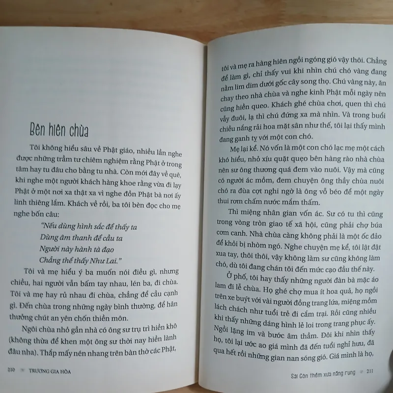 Sài Gòn Thềm Xưa Nắng Rụng - Trương Gia Hòa 675111