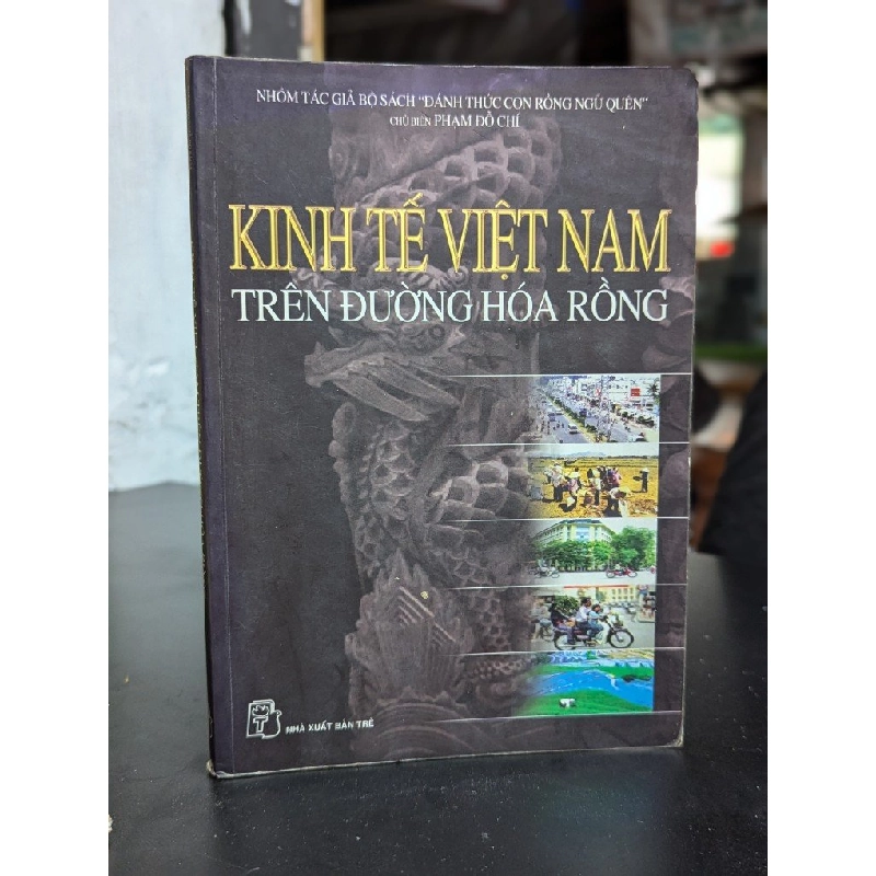 Kinh tế Việt Nam trên đường hóa rồng - Phạm Đỗ Chí (Chủ biên) 352793