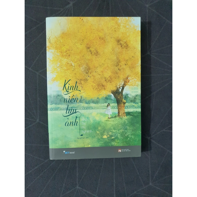 "Kinh niên lưu ảnh" - Như Thị Phi Nghênh 470406
