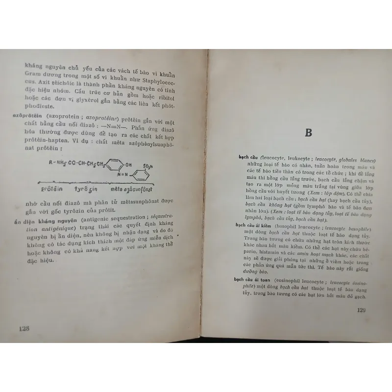 TỪ ĐIỂN MIỄN DỊCH HỌC 588224