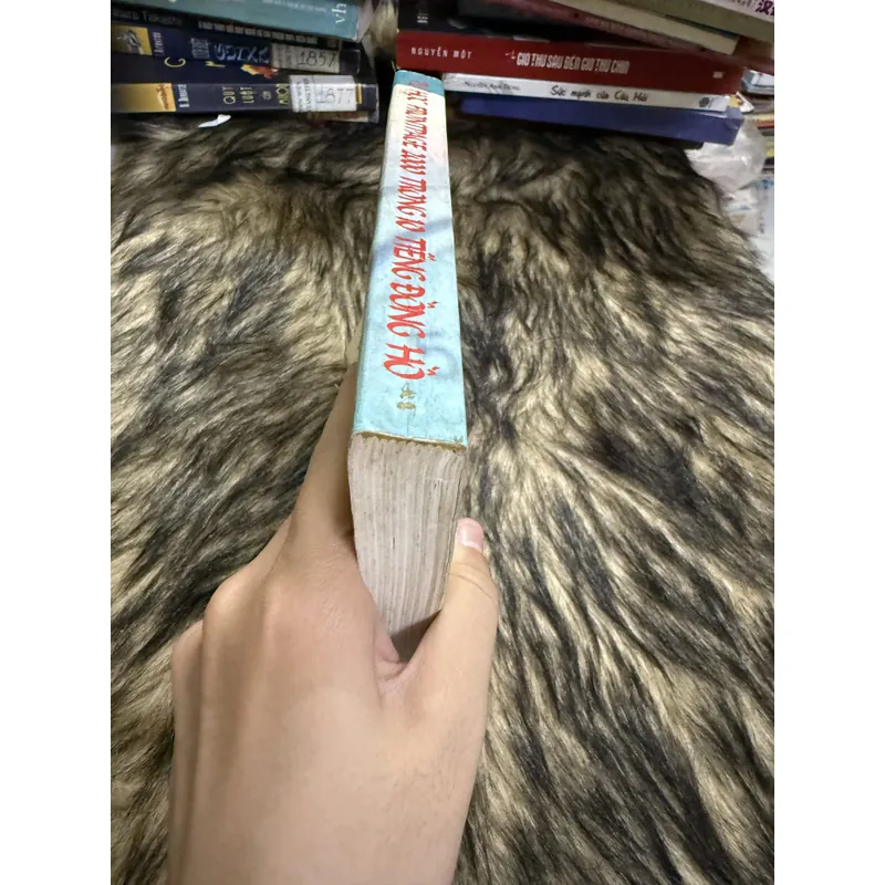 Tự học FrontPace 600710