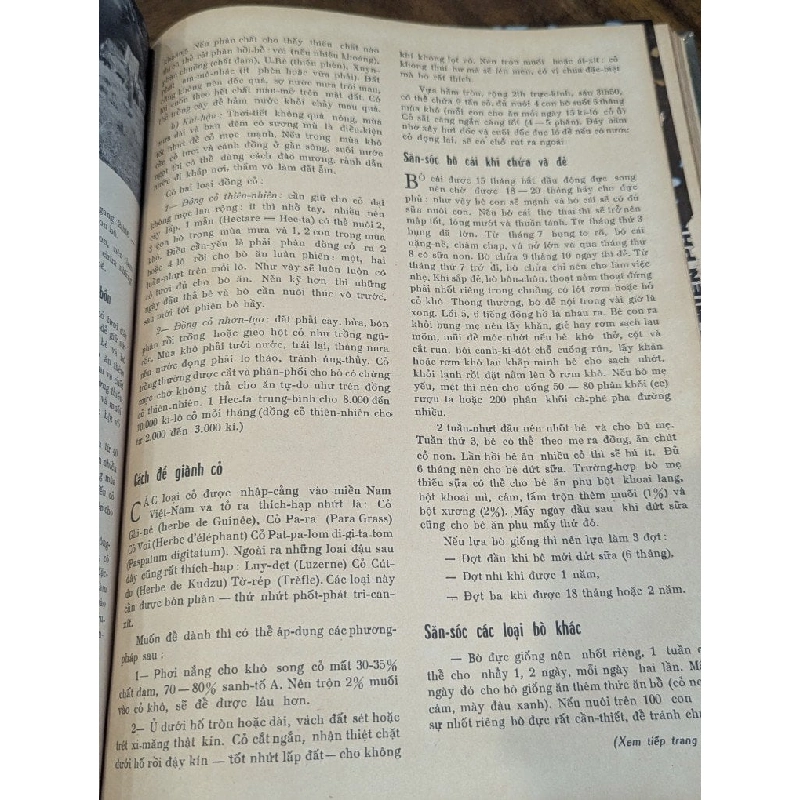 Tạp chí hương quê ( nguyệt san ) - nhiều tác giả 1006761