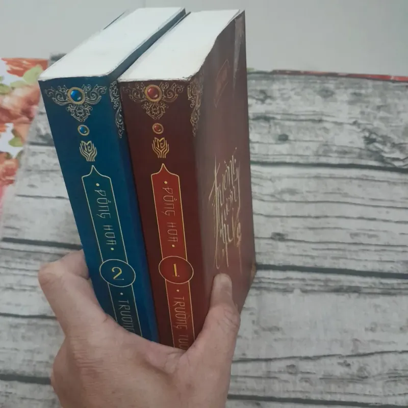 Trường Tương Tư. Tập 1&2. Tác giả Đồng Hoa. Ng dịch Lương Hiền 719654