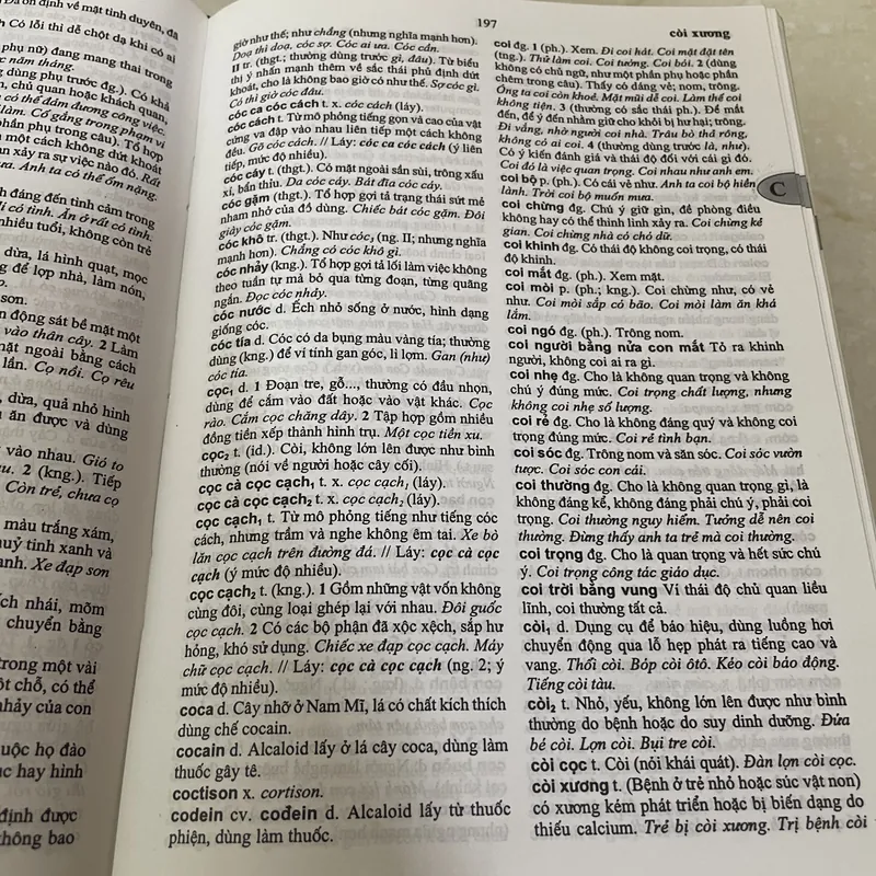 Từ Điển Tiếng Việt - Viện Ngôn Ngữ Học 604954