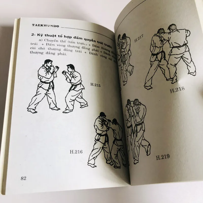 TỰ LUYỆN TUYỆT CHIÊU TAEKWONDO CHIẾN ĐẤU VÀ TỰ VỆ 697861