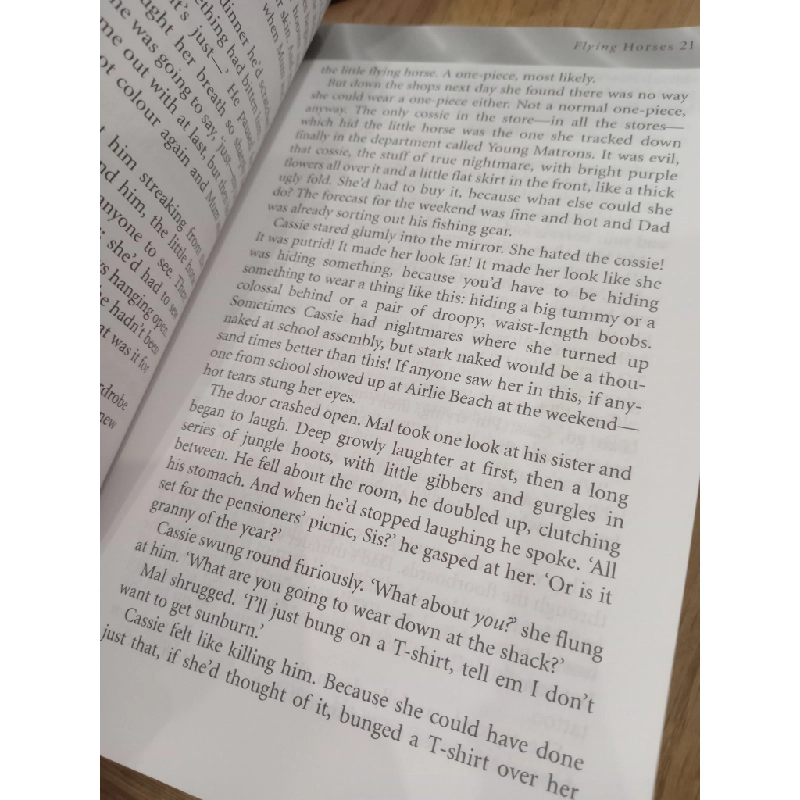 The champion & other stories - Helen Sykes 553075