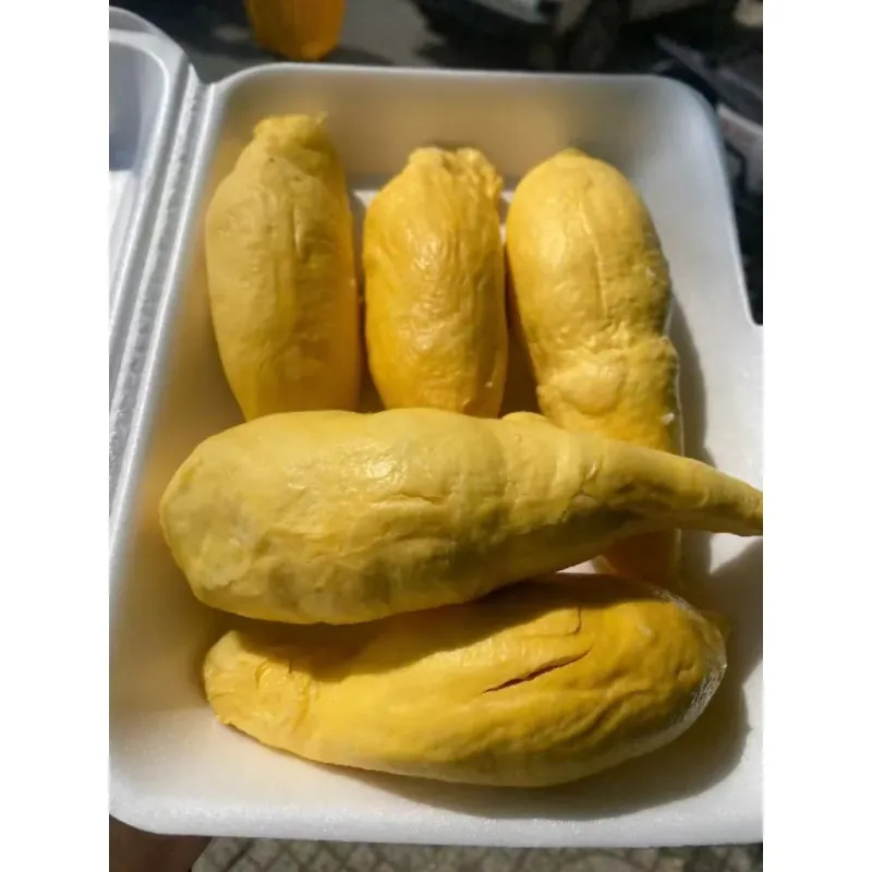 Quả sầu riêng tươi trái cây nhiệt đới màu vàng đậm, vỏ sần sùi, thịt ngọt 735657