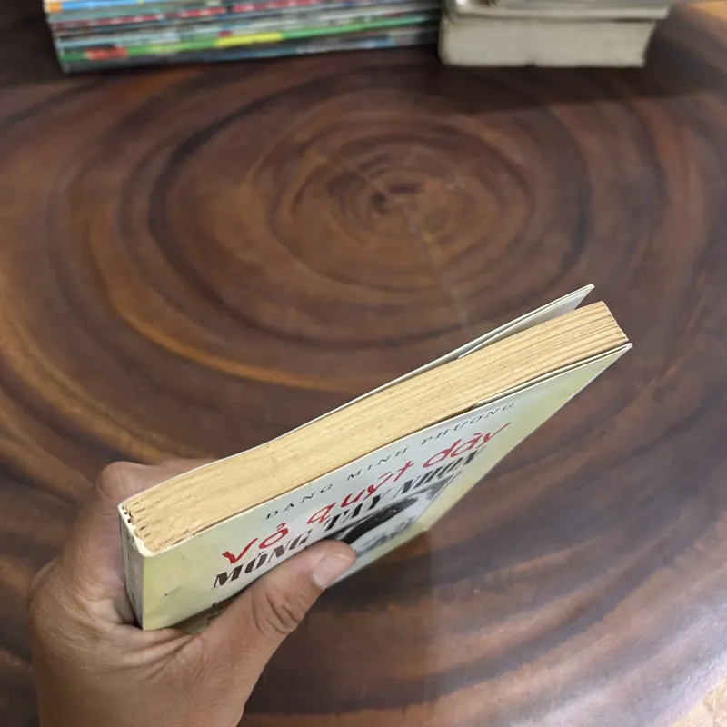 II Văn Thơ Đả Kích, Trào Phúng, Câu Đối: Vỏ Quýt Dày, Móng Tay Nhọn - Đặng Minh Phương 999187