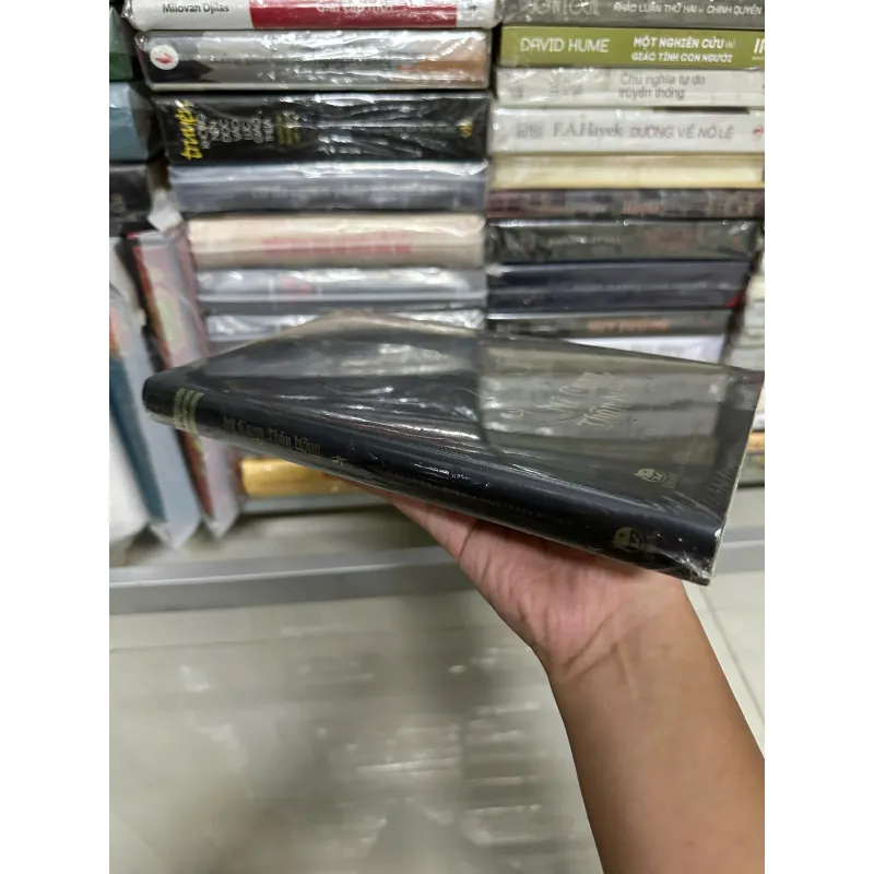 Mê cung Thần Nông (Pan's Labyrinth) - Guillermo del Toro (Bìa cứng) 698140