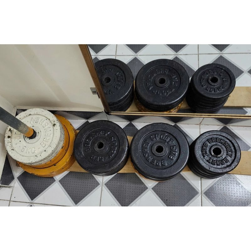 Bánh tạ gang 10kg, 5kg loại đẹp , Tổng khối lượng 80 kg 469992