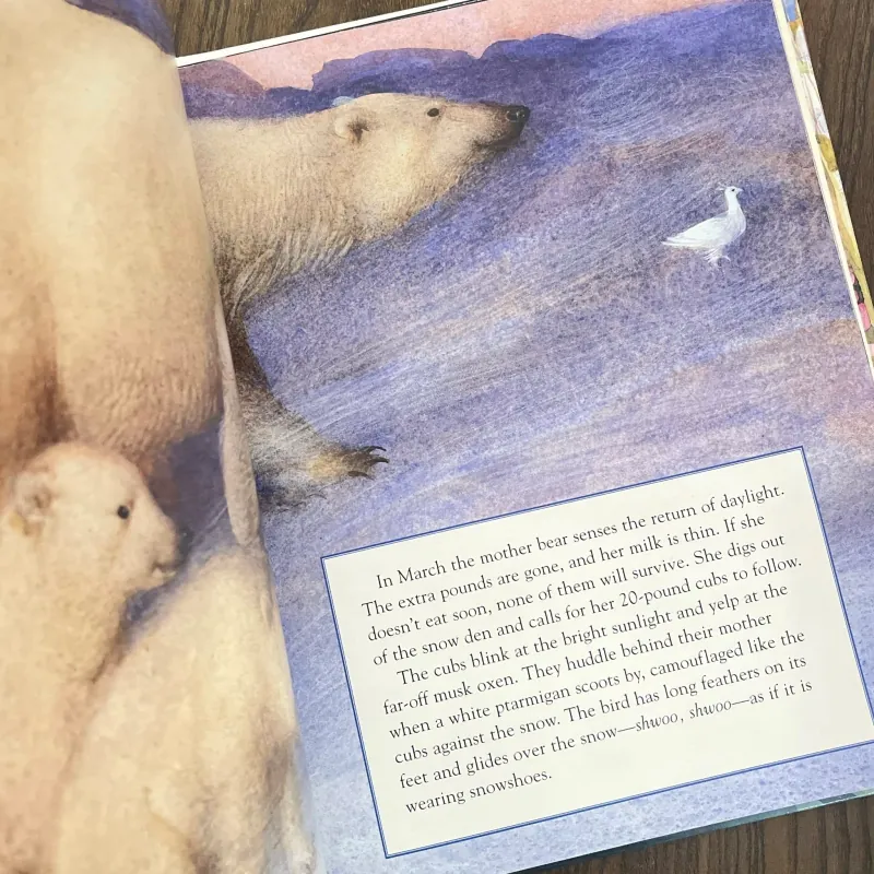 ✨𝑰𝒄𝒆 𝑩𝒆𝒂𝒓𝒔✨ 749617