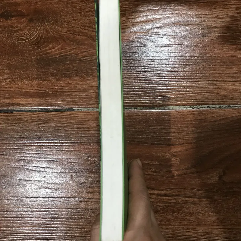 Mèo chiến binh - Vào trong hoang dã (k3) 741025