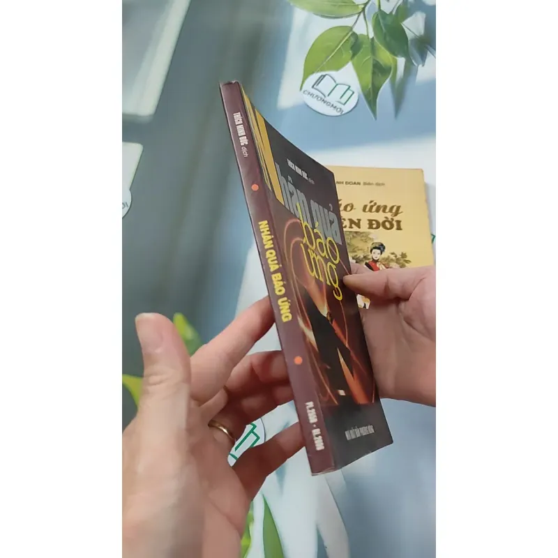 Combo: Nhân Quả Báo Ứng, Báo Ứng Hiện Đời 776102