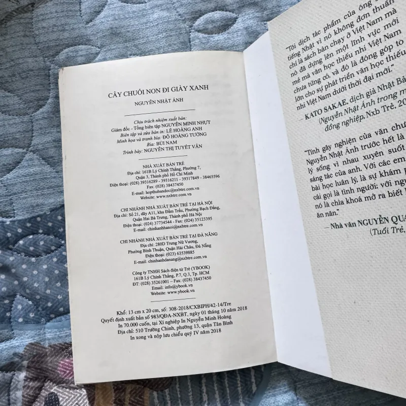 Cây chuối non đi giày xanh - Nguyễn Nhật Ánh 763743